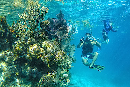 best snorkeling trips in belize